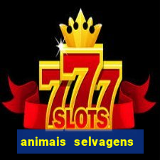 animais selvagens fotos e nomes